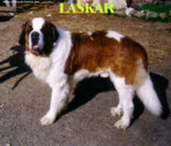 Laskar (Sans Affixe)