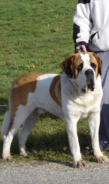 Samos de la Boutinais