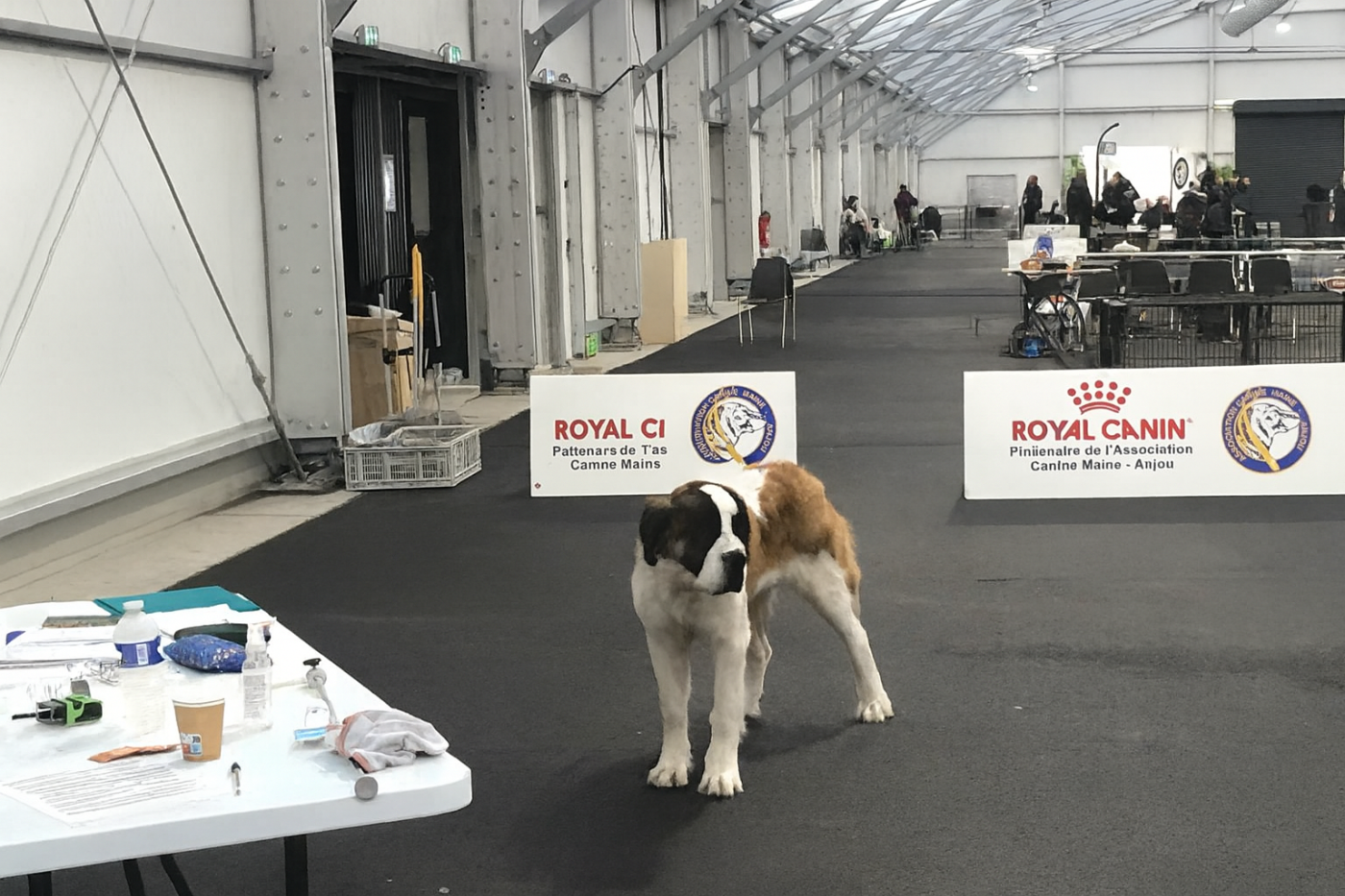 ZUMBA de la vega de carmona